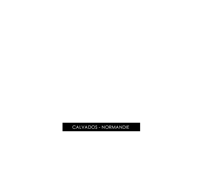 Agence Web et Print - Création de sites Web à Caen dans le Calvados