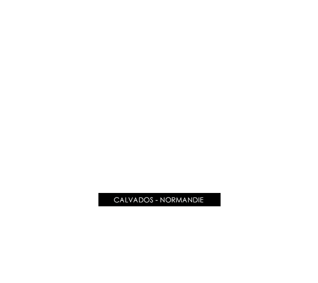 Bandeau d'accueil Pomme de Com' Agence Web & Print Calvados Normandie